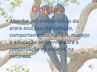 Objetivo
• Abordar as características da
arara azul,sua reprodução,
comportamento, habitat, manejo
e educação ambiental para a
conservação da espécie na
natureza.
 