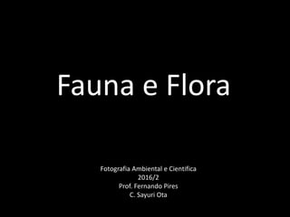 Fauna e Flora
Fotografia Ambiental e Cientifica
2016/2
Prof. Fernando Pires
C. Sayuri Ota
 