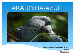 ARARINHA-AZUL EMEIEF “PROFESSORA LÉA HOLZ” 4ª série Tia Virgínia 
