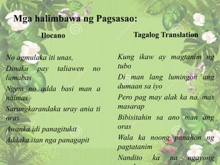 Mga halimbawa ng Pagsasao:
Ilocano
No agmulaka iti unas,
Dinaka pay taliawen no
lumabas
Ngem no adda basi man a
naimas
Sarungkarandaka uray ania ti
oras
Awanka idi panagitukit
Addaka itan nga panagapit
Tagalog Translation
Kung ikaw ay magtanim ng
tubo
Di man lang lumingon ang
dumaan sa iyo
Pero pag may alak ka na, mas
masarap
Bibisitahin sa ano man ang
oras
Wala ka noong panahon ng
pagtatanim
Nandito ka na ngayong
 
