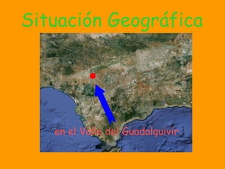 Situación Geográfica en el Valle del Guadalquivir 