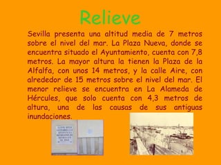 Sevilla presenta una altitud media de 7 metros sobre el nivel del mar. La Plaza Nueva, donde se encuentra situado el Ayuntamiento, cuenta con 7,8 metros. La mayor altura la tienen la Plaza de la Alfalfa, con unos 14 metros, y la calle Aire, con alrededor de 15 metros sobre el nivel del mar. El menor relieve se encuentra en La Alameda de Hércules, que solo cuenta con 4,3 metros de altura, una de las causas de sus antiguas inundaciones . Relieve 
