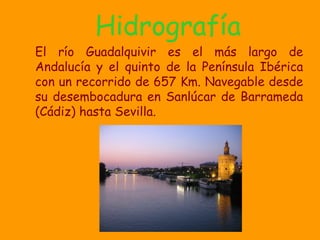 Hidrografía El río Guadalquivir es el más largo de Andalucía y el quinto de la Península Ibérica con un recorrido de 657 Km. Navegable desde su desembocadura en Sanlúcar de Barrameda (Cádiz) hasta Sevilla. 