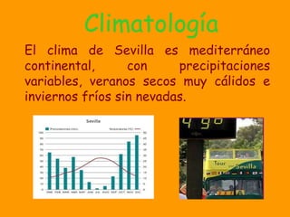 Climatología El clima de Sevilla es mediterráneo continental, con precipitaciones variables, veranos secos muy cálidos e inviernos fríos sin nevadas. 
