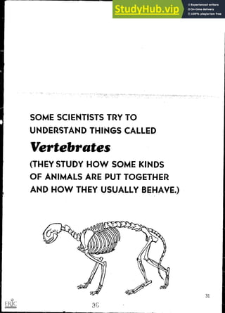SOME SCIENTISTS TRY TO
UNDERSTAND THINGS CALLED
Vertebrates
(THEY STUDY HOW SOME KINDS
OF ANIMALS ARE PUT TOGETHER
AND HOW THEY USUALLY BEHAVE.)
3G
 