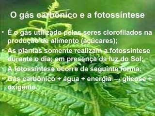 O gás carbônico e a fotossíntese
• É o gás utilizado pelas seres clorofilados na
  produção de alimento (açúcares);
• As plantas somente realizam a fotossíntese
  durante o dia; em presença da luz do Sol;
• A fotossíntese ocorre da seguinte forma:
• Gás carbônico + água + energia → glicose +
  oxigênio.
 