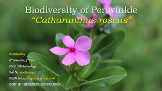 Biodiversity of Periwinkle
“Catharanthus roseus”
AratrikaRoy
6th Semester, 3rd Year
BSc.(H) Biotechnology
Roll No.21008217034
REGN. No.172102410005 of 2017-2018
INSTITUTEOF GENETICENGINEERING
 