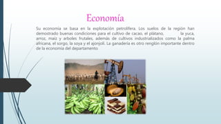 Economía
Su economía se basa en la explotación petrolífera. Los suelos de la región han
demostrado buenas condiciones para el cultivo de cacao, el plátano, la yuca,
arroz, maíz y arboles frutales, además de cultivos industrializados como la palma
africana, el sorgo, la soya y el ajonjolí. La ganadería es otro renglón importante dentro
de la economía del departamento
 
