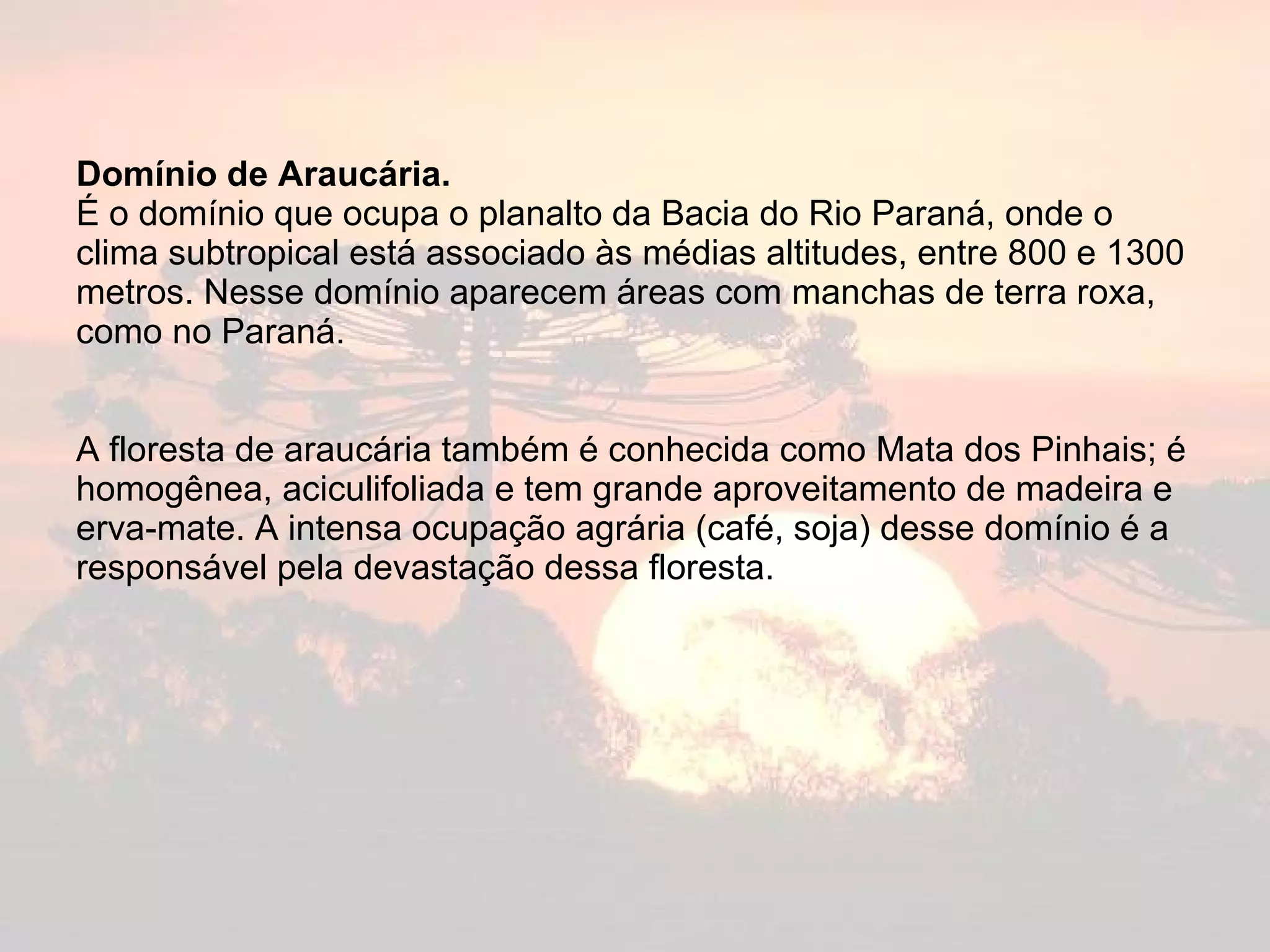 Domínio de Araucária. É o domínio que ocupa o planalto da Bacia do Rio Paraná, onde o clima subtropical está associado às médias altitudes, entre 800 e 1300 metros. Nesse domínio aparecem áreas com manchas de terra roxa, como no Paraná. A floresta de araucária também é conhecida como Mata dos Pinhais; é homogênea, aciculifoliada e tem grande aproveitamento de madeira e erva-mate. A intensa ocupação agrária (café, soja) desse domínio é a responsável pela devastação dessa floresta. 