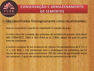 • São classificadas fisiologicamente como recalcitrantes;
- Autores associaram a perda de viabilidade à redução do grau;
- O nível crítico de umidade das sementes de pinheiro-do-paraná varia entre
40% (TOMPSETT, 1984) e 38% (EIRA et al., 1994), abaixo do qual há perda
total de viabilidade;
- A melhor condição foi em ambiente de câmara fria (temperatura de 4 °C + 1
°C e U.R. 89% + 1%) combinado com a embalagem de polietileno de 24
micras de espessura, pois mantiveram 79% do índice de germinação inicial
das sementes. O grau de umidade inicial das sementes era de 43%.
 