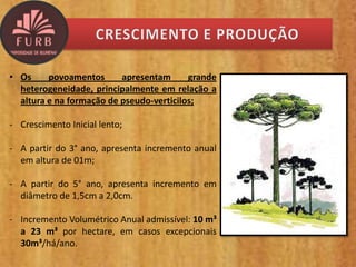 • Os povoamentos apresentam grande
heterogeneidade, principalmente em relação a
altura e na formação de pseudo-verticilos;
- Crescimento Inicial lento;
- A partir do 3° ano, apresenta incremento anual
em altura de 01m;
- A partir do 5° ano, apresenta incremento em
diâmetro de 1,5cm a 2,0cm.
- Incremento Volumétrico Anual admissível: 10 m³
a 23 m³ por hectare, em casos excepcionais
30m³/há/ano.
 