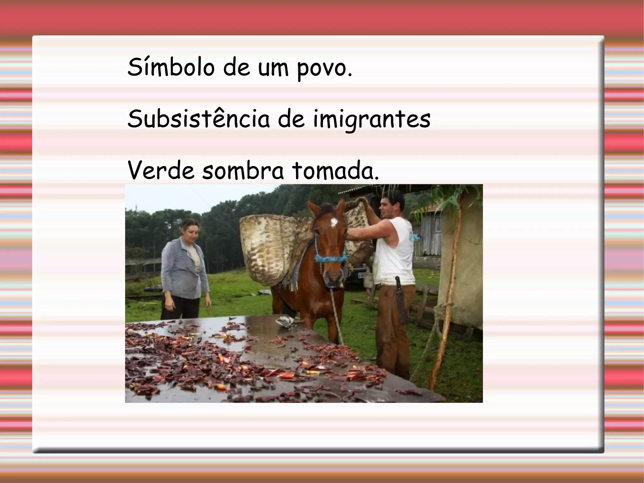 Símbolo de um povo.
Subsistência de imigrantes
Verde sombra tomada.