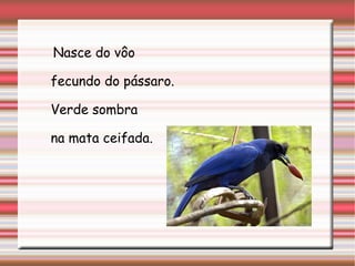     Nasce do vôo

fecundo do pássaro.

Verde sombra

na mata ceifada.
 
