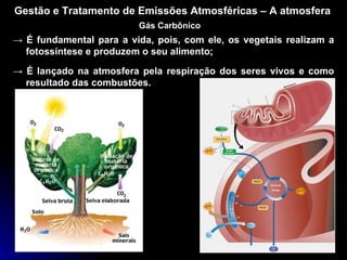 Gestão e Tratamento de Emissões Atmosféricas – A atmosfera Gás Carbônico ->  É fundamental para a vida, pois, com ele, os vegetais realizam a fotossíntese e produzem o seu alimento; ->  É lançado na atmosfera pela respiração dos seres vivos e como resultado das combustões. 