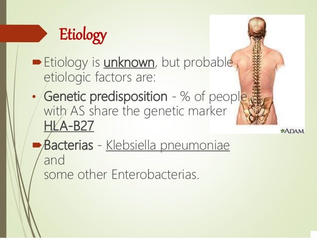 Pdf The Role Of Exercise In The Rehabilitation Of Ankylosing Spondylitis