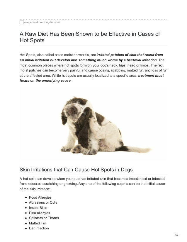 dog allergic to raw diet