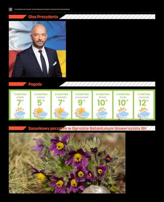 BEZPŁATNY BIULETYN INFORMACYJNY URZĘDU MIEJSKIEGO WROCŁAWIA #IntensywneInwestycje
2
Głos Prezydenta
Szanowni Państwo,
od początku otwartego ata-
ku Rosji na Ukrainę w samym
Wrocławiu schronienie znalazło
ponad 100 tysięcy osób, głów-
nie kobiet i dzieci. Do dzisiaj
ponad 30 tysięcy z nich złożyło
wnioski o wydanie numeru PE-
SEL, a ponad tysiąc skorzystało
z oferty Powiatowego Urzędu
Pracy.
Wrocławskie organizacje po-
mocowe wydają przy Dworcu
Głównym PKP 8 tysięcy cie-
płych posiłków i ponad 10 ty-
sięcy kanapek dziennie. Wciąż
sprawnie działają grupy wo-
lontariuszy, w tym ta, która
ruszyła do pomocy jako jedna
z pierwszych, na wrocławskim
PKP.
Oczekujemy na środki rządowe
do rozpoczęcia wypłat świad-
czeń dla osób udzielających
schronienia uchodźcom, po
czym niezwłocznie rozpocz-
niemy ich realizację - szczegóły
aplikowania po te środki opi-
saliśmy na kolejnych stronach
niniejszego biuletynu.
Stoimy w obliczu dramatu mi-
lionów osób, których kraj został
zbrodniczo najechany. Stoimy,
jako sąsiedzi, po ich stronie,
udzielając wsparcia w potrze-
bie. Dziękuję raz jeszcze za so-
lidarność i wsparcie z Państwa
strony.
Nie zatrzymujemy się jednak
w pracy dla Wrocławia - tej
wspólnej, dzięki której rozwi-
jamy go każdego dnia. Rekru-
tujemy do przedszkoli, otwie-
ramy nową halę sportów walki,
nieustannie remontujemy to-
rowiska (z góry przepraszam
za towarzyszące tym pracom
utrudnienia).
Dlatego też chciałbym przy-
pomnieć się Państwu z moją
nieustanną prośbą: pamiętajmy
o rozliczaniu PIT-ów we Wro-
cławiu. W ten sposób nie tyl-
ko pomagamy wspierać osoby
w potrzebie, ale też zwyczajnie
inwestujemy w miasto, w któ-
rym żyjemy i które kochamy.
5
7
9
10
12
2 KWIETNIA 3 KWIETNIA 4 KWIETNIA 5 KWIETNIA 7 KWIETNIA
sobota niedziela poniedziałek środa czwartek
piątek
10
6 KWIETNIA
wtorek
7
1 KWIETNIA
Pogoda
TOMASZ
HOŁOD
Jacek Sutryk
prezydent Wrocławia
UMW
Sasankowy początek w Ogrodzie Botanicznym Uniwersytetu Wr.
Mimo chwilowego ochłodze-
nia marzec nad Odrą ubiera się
w barwy forsycji (żółty), kwiat-
ków drzewek owocowych (biały)
i najróżniejszych odcieni zieleni
świeżych liści. Jeszcze więcej ko-
lorów wiosny zobaczycie od piątku
1 kwietnia w ogrodzie botanicz-
nym. Na zwiedzających czekają już
kwitnące rododendrony, magnolie
i sasanki (na zdj.). W niedzielę 3
kwietnia swoje ulubione rośliny
pokaże dyrektor ogrodu – prof.
Zygmunt Kącki. Spacer rozpocznie
się równo o godz. 12. Warto śledzić
harmonogram na www.ogrodbo-
taniczny.wroclaw.pl, bo w sezonie
– do końca października – odby-
wa się tu wiele wydarzeń. Ogród
botaniczny przy ul. Sienkiewicza
23 obejmuje 7,4 ha, znajduje się
w nim ok. 7,5 tys. gatunków ro-
ślin. W kwietniu czynny w godz.
9-18. Bilet wstępu – 25 zł (nor-
malny) i 15 zł (ulgowy).
 