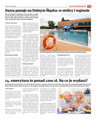 NR 26 (92) – LIPIEC 2022
5
DLA MIESZKAŃCA
Czternastą emeryturę dostanie w tym roku 9 milionów emerytów, rencistów, a także innych osób, które mają wypłacane świadczenia długoterminowe w całej
Polsce. ZUS już szykuje wypłatę 14. emerytury. Ze wstępnych szacunków wynika, że w tym roku na czternastkę może zostać przeznaczone nawet 11,4 mld zł.
	
I Jarek Ratajczak
Dobra informacja dla wszyst-
kich czekających na czterna-
stą emeryturę jest taka, że nie
trzeba składać żadnego wnio-
sku, gdyż ZUS wypłaci ją z tzw.
urzędu.
Czternasta emerytura zostanie
dostarczona w ten sam sposób,
co standardowa – na konto lub
przez listonosza.
Wypłata 14. emerytury ruszy
25 sierpnia 2022 r. ZUS będzie
wypłacał „czternastki”: 1, 5, 6,
10, 15 i 20 września.
Czternastka będzie zwolniona
z podatku dochodowego i wy-
niesie 1217,98 zł.
– Według naszych szacun-
ków wypłatę w pełnej wysoko-
ści otrzyma ok. 7,7 mln osób.
Osobom, które dostają od nas
comiesięczne wypłaty między
2900 zł a 4188,44 zł – czter-
nastka będzie zmniejszana
zgodnie z zasadą „złotówka za
złotówkę”. Minimalna wyso-
kość czternastki wyniesie 50 zł
– tłumaczy Iwona Kowalska-
-Matis, regionalny rzecznik
prasowy ZUS na Dolnym Ślą-
sku.
ZUS informuje, że w systemie
mundurowym oraz w przypadku
osób, które dostają zasiłki i świad-
czenia przedemerytalne z ZUS
– wypłata nastąpi we wrześniu.
Osoby ubezpieczone w KRUS, któ-
re dostają swoje wypłaty rzadziej
niż raz na miesiąc – „czternastkę”
otrzymają w październiku.
– Ta dodatkowa wypłata nie pod-
lega zajęciu przez komornika. Nie
będzie wliczana do dochodu przy
ubieganiu się o pomoc społeczną,
alimenty czy świadczenia z pro-
gramu „Rodzina 500+” dla niesa-
modzielnych – zapewnia Kowal-
ska-Matis.
Zbyt mało opadów i wielodniowe upały sprawiły, że niebez-
piecznie obniżył się poziom wody w rzekach i stawach. Pousy-
chało też wiele roślin, zwłaszcza w centrum miasta. Eksperci
radzą: oszczędzajmy wodę, a także ją recyklingujmy.
	
I Katarzyna Wiązowska
Jak twierdzi dr hab. Tomasz Ko-
walczyk, dyrektor Katedry Kształ-
towania i Ochrony Środowiska
Uniwersytetu Przyrodniczego we
Wrocławiu, członek Państwowej
Rady Gospodarki Wodnej, obecne
niskie stany wody w rzekach nie
są spowodowane tym, że to w tym
roku spadło za mało deszczu.
– Choć tegoroczna wiosna była
ekstremalnie sucha, to niskich
opadów doświadczyliśmy już
w minionych latach. Głęboką su-
szę, która przełożyła się na przy-
rodę, mieliśmy w  2015 roku.
Niedobory wody w środowisku
utrzymują się do dziś – uważa dr
Kowalczyk.
Warto łapać deszczówkę
Susza ma kilka oblicz. Pierwsza
z nich to susza glebowa, która
prowadzi do wysychania gleby,
a co za tym idzie również ro-
ślin. Tymczasem gleba ma także
ogromne znaczenie dla retencjo-
nowania wody opadowej. Kolej-
na to susza hydrologiczna, któ-
ra dotyczy nadmiernego spadku
poziomu cieków wodnych. A jeśli
wyczerpują się zasoby wód pod-
ziemnych, mamy do czynienia
z suszą hydrogeologiczną, która
pogłębia spadek poziomu rzek,
stawów i jezior. Jeśli tam braku-
je wody, to jest również problem
z uprawami. Rolnicy korzystają
również z wody odrzańskiej, choć
na ogół podlewają swoje uprawy
wodami gruntowymi.
– Nadal nie bardzo potrafimy
korzystać z naturalnych uwarun-
kowań do retencjonowania wody
– uważa dr Kowalczyk. – Chodzi
m.in. o potrzebę renaturyzacji
cieków i ich doliny, ochronę te-
renów bagiennych, torfowisk, ale
również likwidację małych zbior-
ników wodnych czy nieprawidło-
wą konserwację rowów. Na tere-
nach zabudowanych warto łapać
deszczówkę i mądrze gospodaro-
wać wodą opadową. Przeszkadza
nam w tym wzrastające uszczel-
nienie gruntu, a pomaga właści-
wie zaplanowana błękitno-zielo-
na infrastruktura. Dlatego trzeba
dbać o wszelkie formy zieleni,
szczególnie o duże drzewa.
Zieleń pod nadzorem
Suszę widać też w lasach i na
miejskich terenach zieleni we
Wrocławiu. – Zbyt małe opady
sprawiają opadanie wód i wy-
sychanie roślin – mówi Marek
Szempliński, rzecznik praso-
wy Zarządu Zieleni Miejskiej we
Wrocławiu. – W takich warun-
kach trudno dbać o  miejskie
akweny wodne. Brak wody ozna-
cza zagładę organizmów, które
tam żyją. Nie działają urządzenia
do natleniania wody, które są
stosowane na stawach w miej-
skich parkach. Staramy się też
ratować te rośliny, które przez
brak wody mogą umrzeć, jak np.
młode drzewa. Podlewamy też
rabaty w miejscach reprezenta-
cyjnych. Nie podlewamy trawy,
bo przy najbliższych opadach ona
i tak odbije.
Recykling wody szarej
W wielu gminach w trakcie su-
szy ogranicza się możliwość po-
boru wody. Wrocław także może
w przyszłości napotkać problemy
z dostawą wody pitnej. Dlatego
warto ją oszczędzać.
– Coraz częściej w nowoczesnym
budownictwie są stosowane sys-
temy, które recyklingują tzw.
wodę szarą i opadową. Jednak
wciąż jest to na zbyt małą ska-
lę – uważa naukowiec. – Efek-
tywne ograniczanie skutków
susz i powodzi wymaga reali-
zacji wielu inwestycji i kom-
pleksowych programów retencji
w całych zlewniach i dorzeczach.
Rolnicy i leśnicy powinni ze sobą
współpracować przy współ-
udziale administracji. Ale do
tego jest potrzebne międzyre-
sortowe wsparcie na poziomie
ministerialnym. Potrzebne jest
uproszczenie procedur prawnych
inwestycji związanych z reten-
cjonowaniem wody w różnych
warunkach.
Susza panuje na Dolnym Śląsku: w stolicy i regionie
14. emerytura to ponad 1200 zł. Na co je wydasz?
TOMASZ
HOŁOD
W nowym aquaparku przy ul. Polnej 10 deszczówka wykorzystywana jest do spłukiwania toalet
STOCK.ADOBE.COM
 