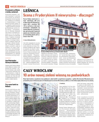 BEZPŁATNY BIULETYN INFORMACYJNY URZĘDU MIEJSKIEGO WROCŁAWIA
12 NASZE OSIEDLA
Poczta Polska zakończyła re-
mont zabytkowej willi przy
ul.Skoczylasa19.Oileodczysz-
czenie willi z przełomu XIX
i XX w. zachwyca, o tyle część
wrocławian zaniepokoiła się
stanem dekoracji, na której wi-
dać, jak król pruski Fryderyk II
pojawia się w leśnickim zamku
po zwycięskiej bitwie pod Lu-
tynią w roku 1757.
I Anna Aleksandrowicz
Cała willa wyglądała do tej pory
na zabrudzoną. Ale po odczysz-
czeniu dekoracji ze sceną z Fry-
derykiem zbladła do tego stopnia,
że pojawiła się obawa o zama-
lowanie jej białą farbą. Remont
Poczta Polska prowadziła pod
nadzorem Miejskiego Konser-
watora Zabytków. – Przeprowa-
dziliśmy badania stratygraficzne
i wszystkie warstwy są aktualnie,
po ściągnięciu zabrudzeń, w ta-
kich kolorach, w jakich powinny
być – zapewnia Magdalena Wan-
kowska, miejska konserwator
zabytków we Wrocławiu. W przy-
padku leśnickiej willi mamy do
czynienia z dekoracją wykonaną
z zaprawy wapienno-cemento-
wej z wypełniaczem do uzyska-
nia efektu, z podziałem na po-
wierzchnie gładkie i chropowate,
bez warstwy malarskiej. Dlatego
tak wyraźny efekt „dwubarwno-
ści” sprzed obecnego remontu
był spowodowany nagromadze-
niem… kurzu na chropowatych
fragmentach dekoracji. – Być
może przyzwyczailiśmy się do
widoku wyraźniej zaznaczonych
konturów tej sceny, ale wszystko
wskazuje na to, że zaraz po wy-
budowaniu willi dekoracja wy-
glądała dokładnie tak, jak teraz
– wyjaśnia Wankowska.
LEŚNICA
Scena z Fryderykiem II niewyraźna – dlaczego?
CAŁY WROCŁAW
10 arów nowej zieleni wiosną na podwórkach
Nowe łąki kwietne, nasadzenia traw ozdobnych, cebul żonkili i uzupełnione żywopłoty – spółka Wrocławskie Mieszkania prze-
prowadziła prace rekultywacyjne w 12 lokalizacjach na terenie Wrocławia za 260 tys. zł. Ich efekty będą widoczne już na wiosnę.
I Redakcja
Gdzie dokładnie? Oto lista adre-
sów: ◼ podwórko przy ul. Trau-
gutta 80-84, część terenów zieleni
przy: ◼ ul. Hubskiej 81, ◼ ul. Pia-
stowskiej/Walecznych, ◼ ul. Roz-
brat 5, ◼ ul. Reja 6–8, ◼ ul. Prą-
dzyńskiego 3-7, ◼ ul. Reja/
Walecznych, ◼ ul. Tatarskiej 16,
◼ ul. Hubskiej 41-47, ul. Brzeskiej
6 i ◼ ul. Nowowiejskiej 112, a tak-
że wybrane fragmenty we wnętrzu
podwórzowym przy ul. Traugutta,
Kościuszki i Więckowskiego.
Monika Tendaj-Bielawska, pre-
zes Wrocławskich Mieszkań,
tłumaczy: – Wytypowaliśmy
kilkanaście adresów, pod który-
mi istniały zaniedbane skwery.
Przedsięwzięcie zakładało wyko-
nanie nowych nasadzeń roślin,
takich jak krzewy, trawy ozdob-
ne, pnącza czy łąki kwietne. Po-
nadto wykonano rekultywację
trawników i wysiew łąk kwiet-
nych. W sumie na wiosnę miesz-
kańcy zobaczą, że przywróciliśmy
zieleń na powierzchni ponad 10
arów – podsumowuje.
Nowe nasadzenia krzewów
i traw ozdobnych wykonano na
10 skwerach. Założono też łąkę
kwietną na dwóch podwór-
kach przy ul. Nowowiejskiej 112
i ul. Rozbrat 5. Uzupełniono ist-
niejący żywopłot przy ul. Smo-
luchowskiego i posadzono cebule
żonkili. Projekty te mają na celu
zwiększenie powierzchni bio-
logicznie czynnej, a co za tym
idzie, polepszenie jakości życia
mieszkańców i zwiększenie es-
tetyki otoczenia.
Historyczna scena była bardziej widoczna przed odczyszczeniem
(na zdj. w kółku) niż teraz, po remoncie (duże zdjęcie)
GRZEGORZ
RAJTER
(2)
WM
Nasadzeniaotoczonoogrodzeniem,byroślinyniezostałyzdeptane
PrzystaneknaOłbinie
zmyśląoseniorach
Przystanek wiedeński „Jed-
ności Narodowej” (z peronem
wyniesionym do wysokości
krawężnika) od końca grudnia
ub.r. znajduje się na wysokości
ul. Poniatowskiego 23. Urząd
Miejski Wrocławia ogłosił, że
ze względów bezpieczeństwa
i wygody pasażerów przeniesie
go kilkadziesiąt metrów bli-
żej centrum – za skrzyżowa-
nie z ul. Oleśnicką. Przystanek
miał stanąć na wysokości ka-
mienic nr 17 i 19. Ich miesz-
kańcy obawiali się większego
hałasu. Urzędnicy, decydując
o ostatecznej lokalizacji, prze-
konują, że istniejące wynie-
sienie to najlepsze miejsce dla
przystanku „Jedności Narodo-
wej” w kierunku pl. Kromera.
Chodzi o seniorów i osoby na
wózkach, lecz także o płyn-
ność ruchu samochodowego.
Z tym rozwiązaniem za tram-
wajem zatrzymującym się przed
skrzyżowaniem z ul. Oleśnicką
nie powinny się tworzyć korki.
LipaPiotrowska:
łatwiejdobiblioteki
Tydzień przed Nowym Rokiem
został oddany do użytku nowy
podjazd dla wózków i wej-
ście do budynku rady osiedla
i jednocześnie biblioteki przy
ul. Tymiankowej 3. Dzięki tej
inwestycji dostęp do budynku
ułatwiony jest teraz dla osób
z niepełnosprawnościami i ro-
dziców z małymi dziećmi.
Trzynoweławkina
Hubach
Jeszcze przed końcem roku
2022 stanęły na Hubach trzy
ławeczki mieszkańca. Wszyst-
kie zostały postawione w pobli-
żu Szkoły Podstawowej nr 77.
Pierwsza ławka została usta-
wiona w połowie długości ulicy
św. Jerzego, dwie kolejne przy
ul. Kamiennej, w pobliżu przy-
stanku autobusowego Wapien-
na. Ławki zamówili radni Rady
Osiedla Huby, ale może zrobić
to każdy.„Ławeczka miesz-
kańca” to program, w którym
mieszkańcy zgłaszają lokaliza-
cję, gdzie potrzebna jest ławka,
a Urząd Miejski Wrocławia, jeśli
jest to zasadne zgłoszenie, re-
alizuje je.
 