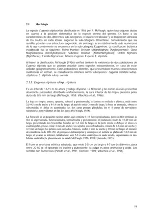 2.1     Morfología

La especie Eugenia stipitata fue clasificada en 1956 por R. McVaugh, quien tuvo algunas dudas
en cuanto a la posición sistemática de la especie dentro del género. En base a las
características de dos diferentes sub-categorías, el ovario tetralocular y la disposición alineada
de los óvulos en cada lóculo, sugerían la sub-categoría Pimentinae. Considerando que las
semillas poseían una estructura eugenoide, sin embargo, eran relativamente más numerosas
de lo que comúnmente se encuentra en la sub-categoría Eugeniinae. La clasificación botánica
establecida fue la siguiente: Reino Plantae; División Magnoliophyta (Angiospermae); Clase
Magnoliopsida (Dicotyledoneae); Subclase Rosidae (Archichlamydeae); Orden Myrtales
(Myrtiflorae); Familia Myrtaceae; Género Eugenia; Especie E. stipitata.

Al hacer la clasificación, McVaugh (1956) verificó también la existencia de dos poblaciones de
Eugenia stipitata que se podrían describir como especies independientes, en caso de estar
aisladas geográficamente. Estas poblaciones distintas, que presentaban muchas características
cualitativas en común, se consideraron entonces como subespecies: Eugenia stipitata subsp.
stipitata e E. stipitata subsp. sororia.

2.1.1. Eugenia stipitata subsp. stipitata

Es un árbol de 12-15 m de altura y follaje disperso. La floración y las ramas nuevas presentan
abundante pubosidad, distribuida uniformemente, la cara inferior de las hojas presenta pelos
duros de 0,5 mm de largo (McVaugh, 1958; Villachica et al., 1996).

La hoja es simple, entera, opuesta, subsesil y peninervada; la lámina es ovalada o elíptica, mide entre
3,5-9,5 cm de ancho y 8-18 cm de largo; el pecíolo mide 3 mm de largo; la base es atenuada, obtusa o
subcordada; el ápice es acuminado; las dos caras poseen glándulas; los 6-10 pares de nervaduras
secundarias son evidentes en las dos caras (McVaugh, 1958).

La floración es un pequeño racimo axilar, que contiene 1-10 flores pediceladas, pero sin flor terminal; la
flor es diperiantada, heteroclamídea, hermafrodita y polistémone; el pedúnculo mide de 10-20 mm de
largo, presentando dos bracteólas lineales de 1-2 mm de largo en la parte media o debajo; el disco es
cuadrangular, piloso, mide 4 mm de ancho; los sépalos son redondeados, miden de 4-6 mm de ancho y
4-5 mm de largo; los pétalos son ovalados, blancos, miden 4 mm de ancho y 10 mm de largo; el número
de estambres es de 100-150; el gineceo es tetracarpelar y sincárpico; el estilete es glabro de 7-8,5 mm de
largo; el ovario es inferior, tetralocular, con 5-8 óvulos anátropos en cada lóculo, organizados en dos
hileras verticales; la placentación es axial (McVaugh, 1956; 1958; Quevedo, 1995).

El fruto es una baya esférica achatada, que mide 3-5 cm de largo y 4-7 cm de diámetro, pesa
entre 20-50 g; el epicarpio es áspero y pubescente; la pulpa es poco aromática y ácida. Las
semillas son numerosas (Pinedo et al., 1981; Clement, 1989; Villachica et al., 1996).




                                                                                                       10
 