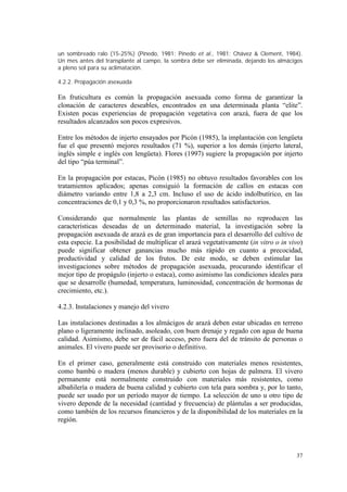 un sombreado ralo (15-25%) (Pinedo, 1981; Pinedo et al., 1981; Chávez & Clement, 1984).
Un mes antes del transplante al campo, la sombra debe ser eliminada, dejando los almácigos
a pleno sol para su aclimatación.

4.2.2. Propagación asexuada

En fruticultura es común la propagación asexuada como forma de garantizar la
clonación de caracteres deseables, encontrados en una determinada planta “elite”.
Existen pocas experiencias de propagación vegetativa con arazá, fuera de que los
resultados alcanzados son pocos expresivos.

Entre los métodos de injerto ensayados por Picón (1985), la implantación con lengüeta
fue el que presentó mejores resultados (71 %), superior a los demás (injerto lateral,
inglés simple e inglés con lengüeta). Flores (1997) sugiere la propagación por injerto
del tipo “púa terminal”.

En la propagación por estacas, Picón (1985) no obtuvo resultados favorables con los
tratamientos aplicados; apenas consiguió la formación de callos en estacas con
diámetro variando entre 1,8 a 2,3 cm. Incluso el uso de ácido indolbutírico, en las
concentraciones de 0,1 y 0,3 %, no proporcionaron resultados satisfactorios.

Considerando que normalmente las plantas de semillas no reproducen las
características deseadas de un determinado material, la investigación sobre la
propagación asexuada de arazá es de gran importancia para el desarrollo del cultivo de
esta especie. La posibilidad de multiplicar el arazá vegetativamente (in vitro o in vivo)
puede significar obtener ganancias mucho más rápido en cuanto a precocidad,
productividad y calidad de los frutos. De este modo, se deben estimular las
investigaciones sobre métodos de propagación asexuada, procurando identificar el
mejor tipo de propágulo (injerto o estaca), como asimismo las condiciones ideales para
que se desarrolle (humedad, temperatura, luminosidad, concentración de hormonas de
crecimiento, etc.).

4.2.3. Instalaciones y manejo del vivero

Las instalaciones destinadas a los almácigos de arazá deben estar ubicadas en terreno
plano o ligeramente inclinado, asoleado, con buen drenaje y regado con agua de buena
calidad. Asimismo, debe ser de fácil acceso, pero fuera del de tránsito de personas o
animales. El vivero puede ser provisorio o definitivo.

En el primer caso, generalmente está construido con materiales menos resistentes,
como bambú o madera (menos durable) y cubierto con hojas de palmera. El vivero
permanente está normalmente construido con materiales más resistentes, como
albañilería o madera de buena calidad y cubierto con tela para sombra y, por lo tanto,
puede ser usado por un período mayor de tiempo. La selección de uno u otro tipo de
vivero depende de la necesidad (cantidad y frecuencia) de plántulas a ser producidas,
como también de los recursos financieros y de la disponibilidad de los materiales en la
región.




                                                                                       37
 