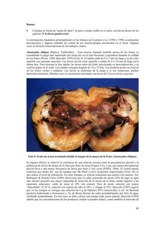 Ramas:

•      Cortadas en forma de "punta de lápiz", la parte cortada visible en el suelo, con larvas dentro de las
       galerías ! Ecthoea quadricornis.

A continuación, basándose principalmente en los trabajos de Couturier et al. (1994 y 1996), se presentan
descripciones y algunos métodos de control de los insectos-plagas encontrados en el arazá. Algunas
veces se hicieron transcripciones de los trabajos citados.

Anastrepha obliqua (Diptera, Tephritidae) – Este insecto, llamado también mosca de las frutas, es
considerado la plaga más importante del arazá por ser el más frecuente y perjudicar bastante la calidad
de los frutos (Picón, 1989; Quevedo, 1995) (Foto 9). El adulto mide de 6 a 7 mm de largo y es de color
amarillo con manchas marrones. Las larvas son de color amarillo y miden de 9 a 10 mm de largo en la
última fase. Para alcanzar la fase adulta, las larvas salen del fruto, provocando su descomposición, y se
vuelven pupas en el suelo. Los adultos emergen después de 10 a 15 días. Las hembras ponen sus huevos
en los frutos verdes o maduros. Las larvas se alimentan de la pulpa y si son numerosas, pueden
destruirla totalmente. Muchas veces se encuentran mezcladas con larvas de Conotrachelus eugeniae.




    Foto 9. Fruto de arazá arruinado debido al ataque de la mosca de la fruta (Anastrepha obliqua).

En Iquitos (Perú), se observó la existencia de una relación inversa entre la precipitación pluvial y la
población de larvas de mosca de la fruta por fruto de arazá (Figura 4.2), o sea, una menor precipitación
pluvial lleva a una mayor frecuencia de larvas por fruto y vice versa (INIPA, 1986). El control puede
realizarse por medio del uso de trampas tipo Mc Phail u otros recipientes improvisados (Foto 10), lo
que reduce el nivel de infestación. En estas trampas, se utilizan soluciones que atraen a las moscas. Así,
Rodrigues & Ronchi-Teles (1989) observaron que el caldo azucarado de arazá (10% de jugo en agua
más azúcar) presentó una mayor capacidad de atracción de la mosca de la fruta, siendo superior a las
siguientes soluciones: caldo de arazá al 10% (sin azúcar); fruto de arazá; solución con azúcar
“mascabado” al 10 %; solución con melaza de caña al 10%; y vinagre al 25%. Quevedo (1995) sugiere
que en las trampas se coloque una solución de 6 g de Dipterex 85% (insecticida), 6 cm3 de Buminal
(proteína hidrolizada y feromonio) y 1% de Borax (borato de sodio pentahidratado) por litro de agua,
cambiada semanalmente. En este caso, se debe colocar una trampa cada cuatro plantas. Quevedo (1995)
admite que las concentraciones de los productos citados se pueden reducir, como también el intervalo de


                                                                                                         48
 