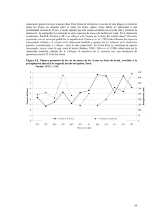 mantención puede elevarse a quince días. Otra forma de minimizar la acción de esta plaga es recolectar
todos los frutos, no dejando sobre el suelo los frutos caídos. Estos deben ser enterrados a una
profundidad mínima de 50 cm, a fin de impedir que este insecto complete su ciclo de vida y reinfecte la
plantación. Se comprobó la existencia de otras especies de mosca de la-fruta en arazá. En la Amazonia
ecuatoriana, Swift & Prentice (1983) se refieren a la “mosca de la fruta del mediterráneo” (Ceratitis
capitata) como el principal problema de aquella área. Couturier et al. (1993) identificaron dos especies
(Anastrepha obliqua e A. striata) en la Amazonia brasileña y apenas una (A. obliqua) en la Amazonia
peruana, considerando A. obliqua como la más importante. En Costa Rica se menciona la especie
Anastrepha striata como la que ataca al arazá (Kanten, 1994). Silva et al. (1996) observaron en la
Amazonia brasileña, además de A. Obliqua, la presencia de A. antunesi con una incidencia de
aproximadamente 35 % de los frutos.

Figura 4.2. Número promedio de larvas de mosca de las frutas en fruto de arazá, asociado a la
precipitación pluvial a lo largo de un año en Iquitos, Perú.
        Fuente: INIPA, 1986.

                   9                                                                                                                450

                   8                                                                                                                400

                   7                                                                                                                350




                                                                                                                                          Precipitación (mm)
                   6                                                                                                                300
Número de larvas




                   5                                                                                                                250

                   4                                                                                                                200

                   3                                                                                                                150

                   2                                                                                                                100

                   1                                                                                                                50
                                         Núm ero de larv as                           P recip it ació n p luvial
                   0                                                                                                                0
                       ene   feb   mar     abr       may       jun       jul    ago          s ep         oct      nov   dic
                                                              M es es del año




                                                                                                                               49
 