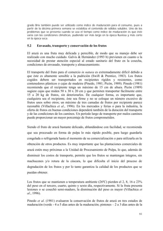 grado Brix también puede ser utilizado como índice de maduración para el consumo, pues a
partir de la décima primera semana se estabiliza el contenido de sólidos solubles. Uno de los
problemas que se presenta cuando se usa el tiempo como índice de maduración es que éste
varía con las condiciones climáticas, pudiendo ser más largo en la época lluviosa y más corto
en la época seca.

5.2    Envasado, transporte y conservación de los frutos

El arazá es una fruta muy delicada y perecible, de modo que su manejo debe ser
realizado con mucho cuidado. Galvis & Hernández (1993 b) previenen en cuanto a la
necesidad de prestar atención especial al estado sanitario del fruto en la cosecha,
condiciones de envasado, transporte y almacenamiento.

El transporte del fruto para el comercio in natura es extremadamente difícil debido a
que éste es altamente sensible a la pudrición (Swift & Prentice, 1983). Los frutos
cogidos debem ser transportados en recipientes rígidos y resistentes, como
contenedores plásticos o cajas de madeira (Pinedo, 1981; Picón, 1989). Pinedo (1981)
recomienda que el recipiente tenga un máximo de 15 cm de altura. Picón (1989)
sugiere cajas que miden 50 x 30 x 20 cm y que permiten transportar fácilmente entre
15 a 20 kg de frutos, sin deteriorarlos. De cualquier forma, es importante que,
cualquiera sea el recipiente, éste sea firme y no se coloque un número excesivo de
frutos unos sobre otros; un máximo de tres camadas de frutos por recipiente parece
razonable (Villachica et al., 1996). En los mercados y ferias o para la industria, la
oferta de frutos en buenas condiciones dependerá también de la duración del transporte
y de las condiciones de los caminos. Un período largo de transporte por malos caminos
puede proporcionar un mayor porcentaje de frutos comprometidos.

Siendo el fruto de arazá bastante delicado, ablandándose con facilidad, se recomienda
que sea procesado en forma de pulpa lo más rápido posible, para luego guardarla
congelada o refrigerada hasta el momento de su comercialización o para utilizarla en la
obtención de otros productos. Es muy importante que las plantaciones comerciales de
arazá estén muy próximas a la Unidad de Procesamiento de Pulpa, lo que, además de
disminuir los costos de transporte, permite que los frutos se mantengan íntegros, sin
machucones y/o rotura de la cáscara, lo que dificulta el inicio del proceso de
degradación de los frutos y por lo tanto garantiza la calidad de los productos que se
puedan obtener.

Los frutos que se mantienen a temperatura ambiente (26ºC) pierden el 2, 8, 16 e 23%
del peso en el tercero, cuarto, quinto y sexto día, respectivamente. Si la fruta presenta
lesiones o se cosechó semi-maduro, la disminución del peso es mayor (Villachica et
al., 1996).

Pinedo et al. (1981) evaluaron la conservación de frutos de arazá en tres estados de
maduración (verde - 4 a 5 días antes de la maduración; pintones – 2 a 3 días antes de la

                                                                                          61
 