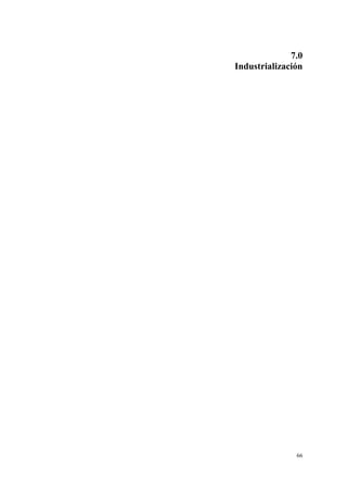 7.0
Industrialización




               66
 