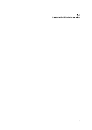 8.0
Sustentabilidad del cultivo




                         83
 