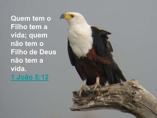 Quem tem o
Filho tem a
vida; quem
não tem o
Filho de Deus
não tem a
vida.
1 João 5:12
 