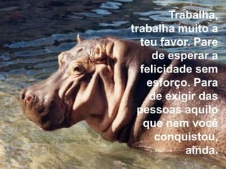 Trabalha,
trabalha muito a
  teu favor. Pare
     de esperar a
  felicidade sem
    esforço. Para
    de exigir das
 pessoas aquilo
   que nem você
     conquistou,
           ainda.
 
