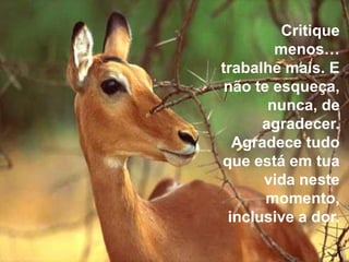 Critique
        menos…
trabalhe mais. E
 não te esqueça,
       nunca, de
      agradecer.
  Agradece tudo
que está em tua
      vida neste
       momento,
 inclusive a dor.
 