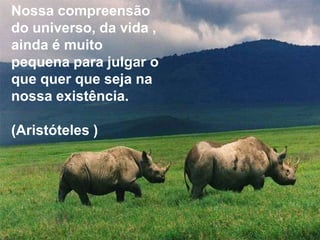 Nossa compreensão
do universo, da vida ,
ainda é muito
pequena para julgar o
que quer que seja na
nossa existência.

(Aristóteles )
 