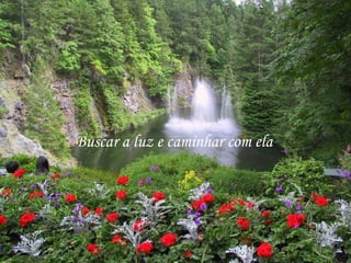 Buscar a luz e caminhar com ela


NO ME QUIERES?
 