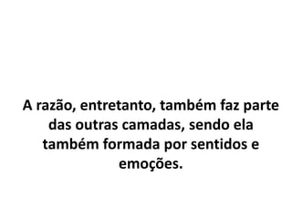 O que chamávamos antigamente de
razão é a codificação das emoções,
via reflexão.
É uma terceira camada da percepção,
de refletir sobre as outras duas,
principalmente sobre as emoções.
 