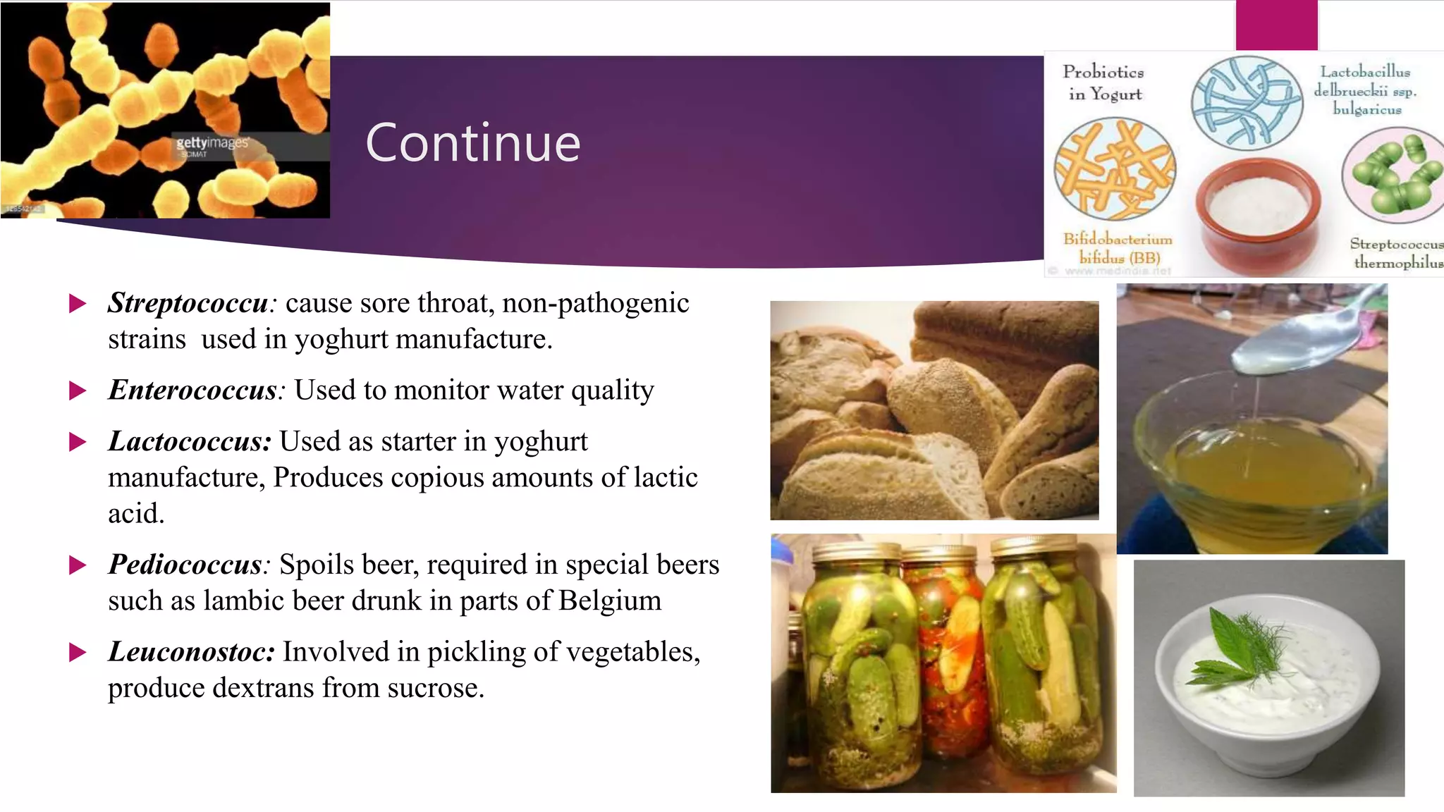 Industrial importance of bacteria PPT