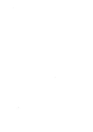 الأربعون النووية