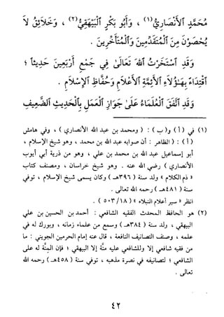 الأربعون النووية