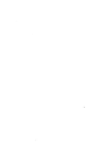 الأربعون النووية