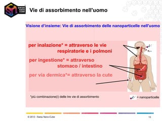 Vie di assorbimento nell'uomo

Visione d’insieme: Vie di assorbimento delle nanoparticelle nell'uomo



 per inalazione* = attraverso le vie
              respiratorie e i polmoni
  per ingestione* = attraverso
              stomaco / intestino
  per via dermica*= attraverso la cute



   *più combinazione(i) delle tre vie di assorbimento    = nanoparticelle




 © 2012 - Swiss Nano-Cube                                        13
 