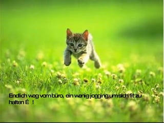 Endlich weg vom büro, ein wenig jogging um sich fit zu halten … ! 