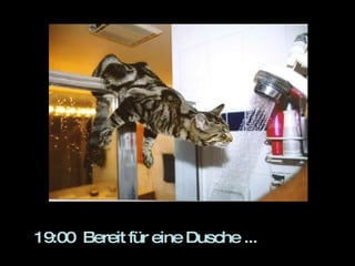 19:00  Bereit für eine Dusche ... 