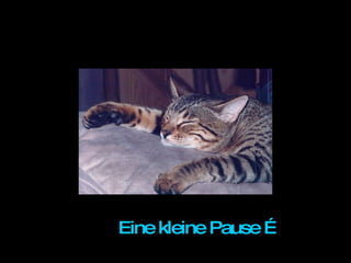 Eine kleine Pause … 