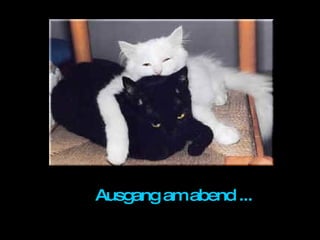 Ausgang am abend ...   