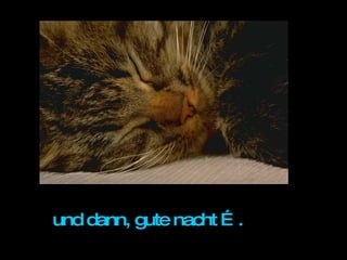 und dann, gute nacht …. 