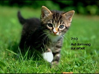 Auf dem weg zur arbeit 7:10 