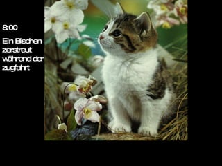 8:00 Ein Bischen zerstreut während der zugfahrt 