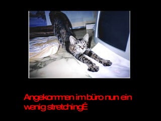 Angekommen im büro nun ein wenig stretching… 