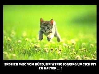 Endlich weg vom büro, ein wenig jogging um sich fit
                  zu halten … !
 